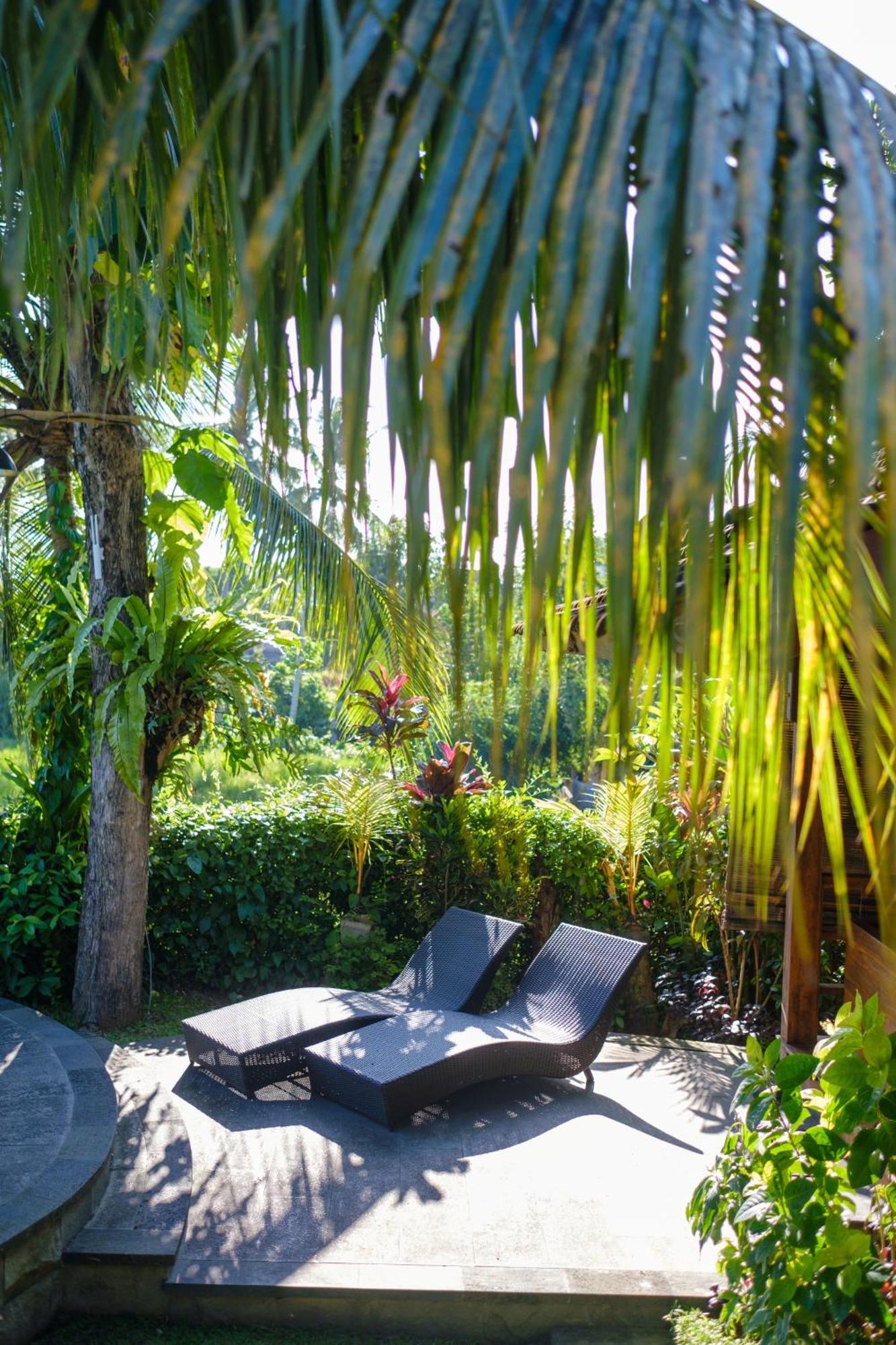 Puri Kobot Otel Ubud Dış mekan fotoğraf